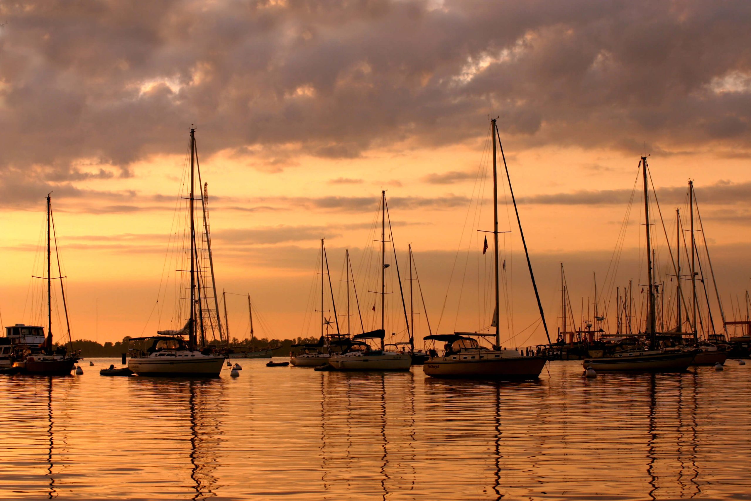 sailboats on the Chesapeake