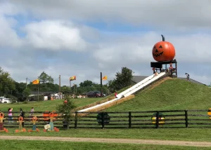 Pumpkin Village Fall Fest