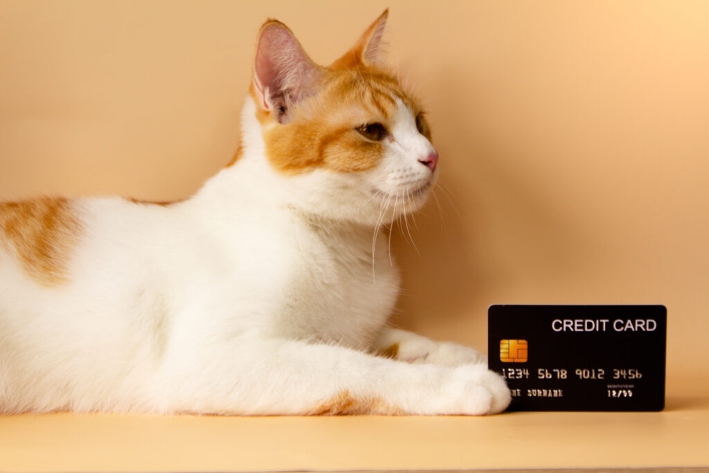 Understanding Apartment Pet Policies